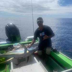 Meet your Posher, Harvey